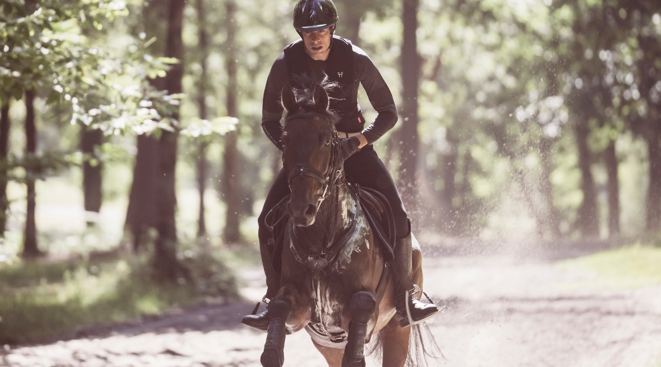 Maxime Livio : cardio training for horses