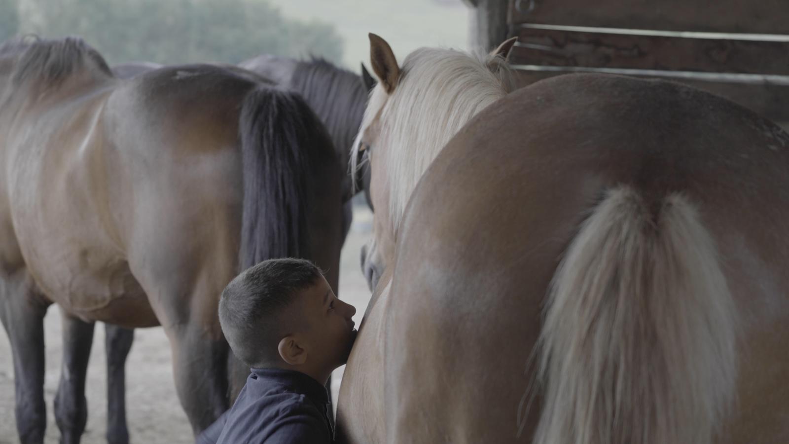 equitherapie-horsepilot-regard2moi