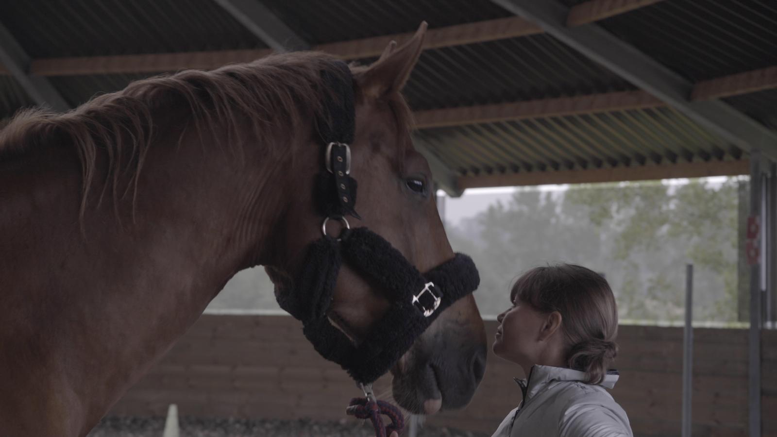 equitherapie-horsepilot-regard2moi