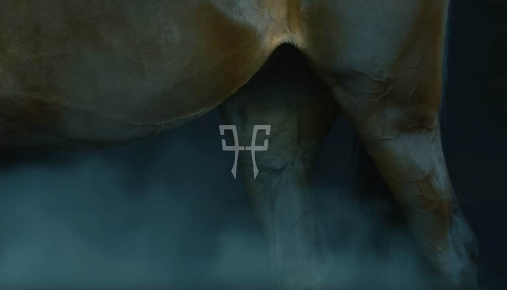 video produit horse pilot