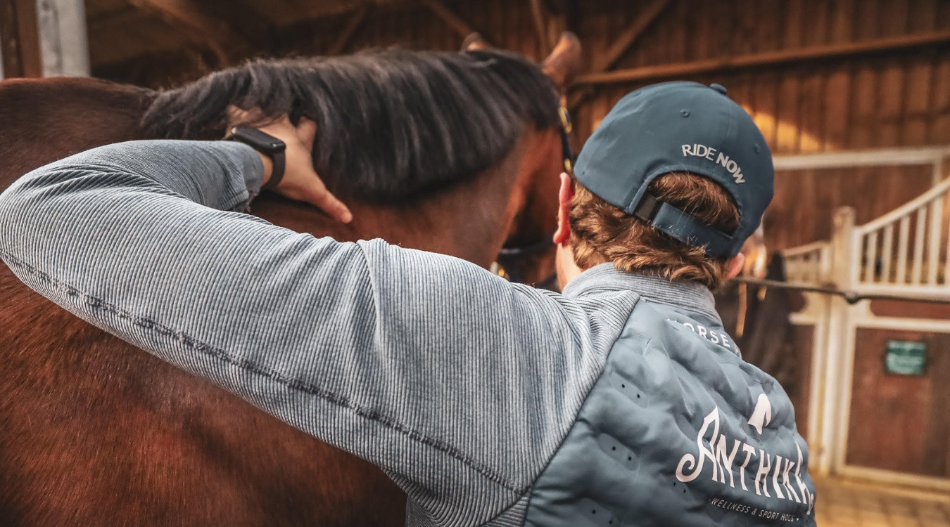 La récupération par le massage du cheval